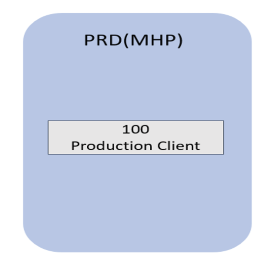 Production client 100